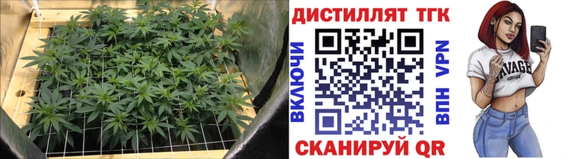 ТГК гашишное масло  Купить  Ужур 