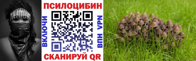 Псилоцибиновые грибы MAGIC MUSHROOMS  Купить где  Ужур 